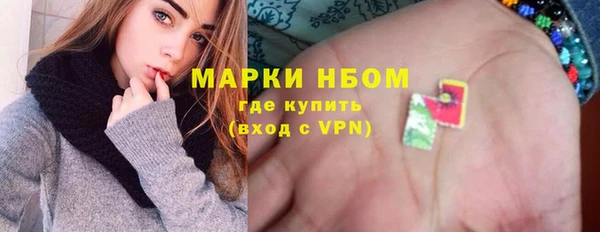 стаф Алзамай