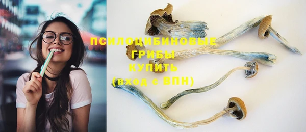 стаф Алзамай