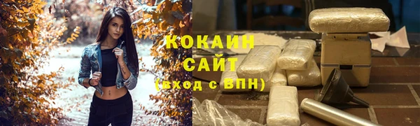 тгк Алексин