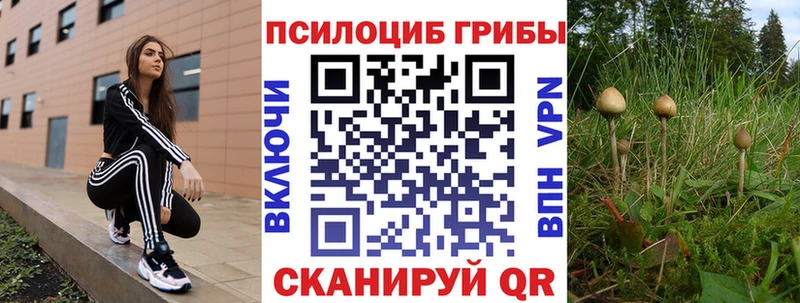 где найти наркотики  Старая Русса  darknet Telegram  Галлюциногенные грибы ЛСД 